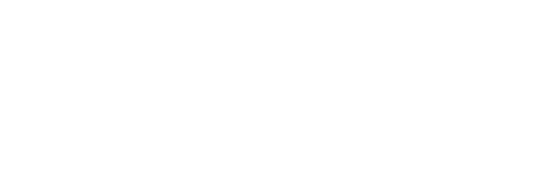 Prime Bravus